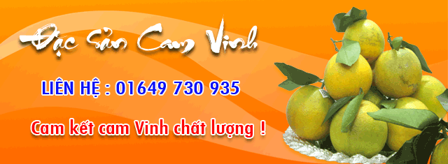 Cam Vinh Đặt mua Cam Vinh Nghệ an