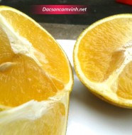 Lựa chọn những trái cam nhỏ nhưng sẽ ngọt đậm hơn trái lớn
