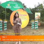 Chương trình Livestream quảng bá Cam Vinh tại Nghệ An