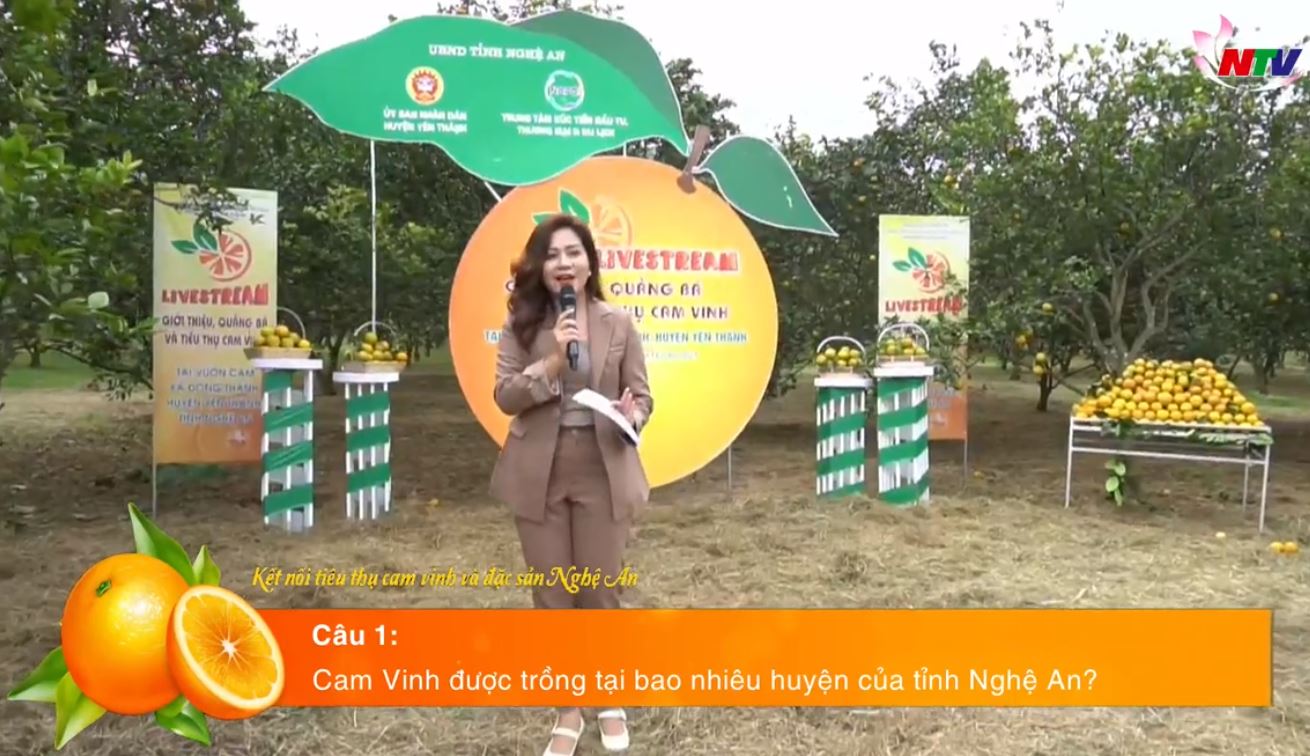 Quảng bá Cam Vinh 2021